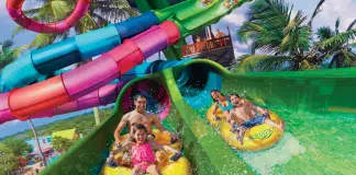 Seaworld Riptide Race | I-4 Exit Guide