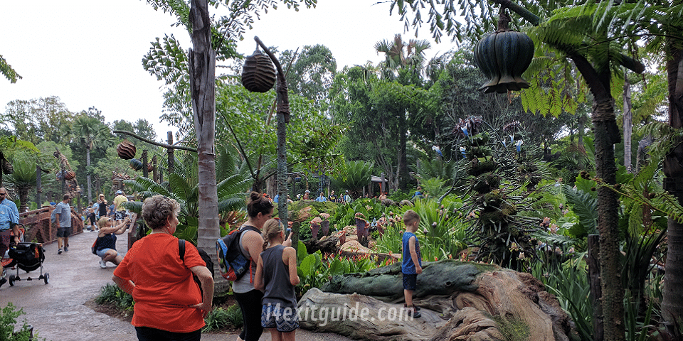 Pandora - The World of Avatar at Disney's Animal Kingdom