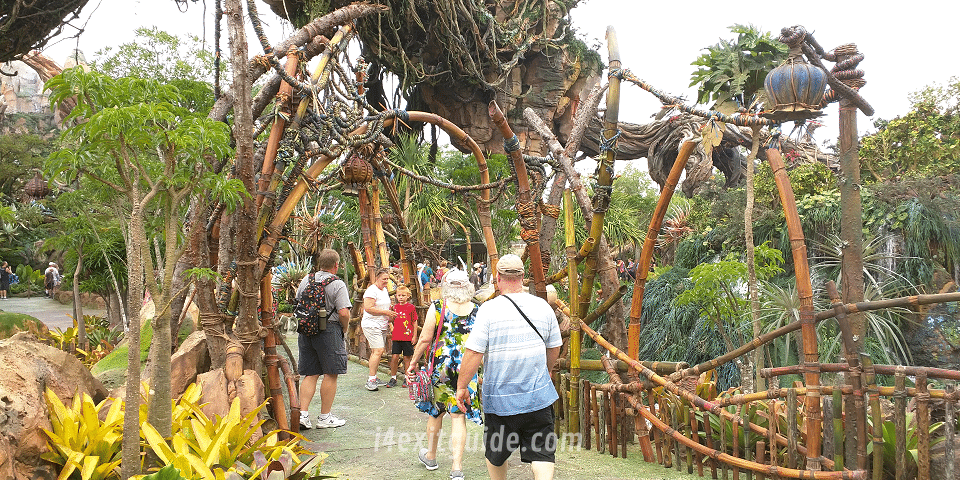 Pandora - The World of Avatar at Disney's Animal Kingdom
