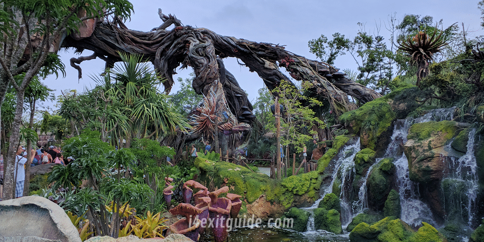 Pandora - The World of Avatar at Disney's Animal Kingdom
