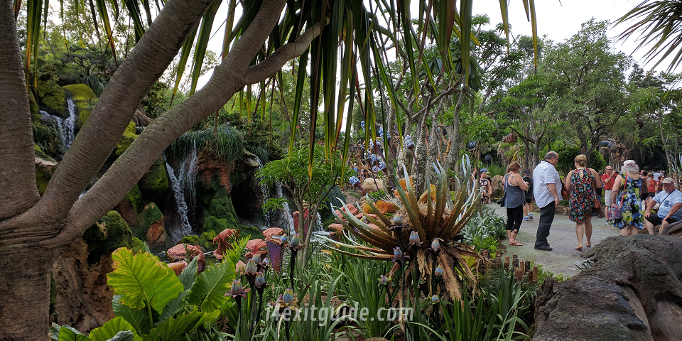 Pandora - The World of Avatar at Disney's Animal Kingdom