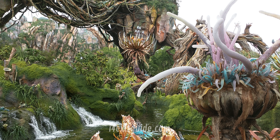 Pandora - The World of Avatar at Disney's Animal Kingdom