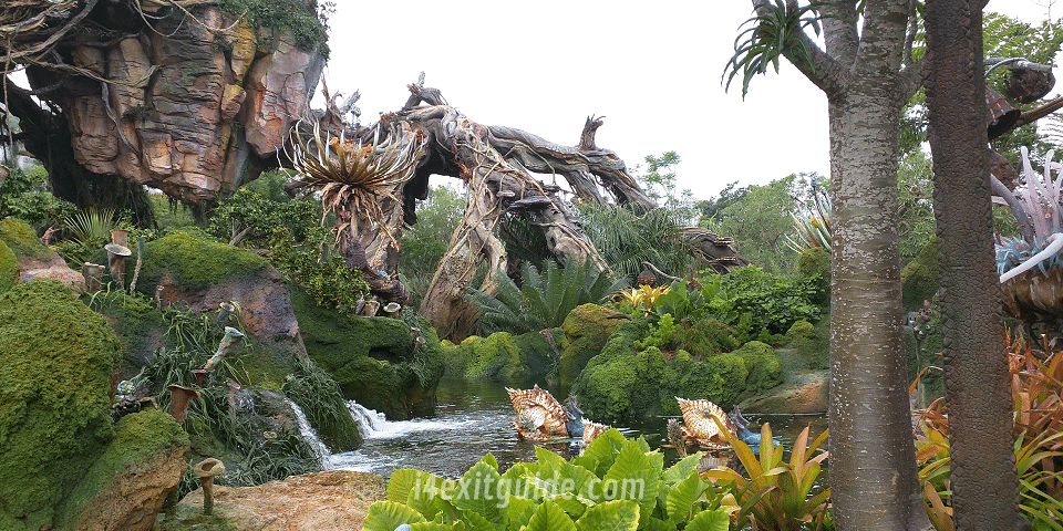 Pandora - The World of Avatar at Disney's Animal Kingdom