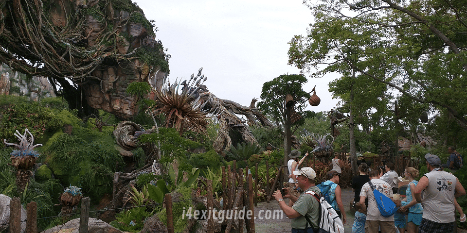 Pandora - The World of Avatar at Disney's Animal Kingdom