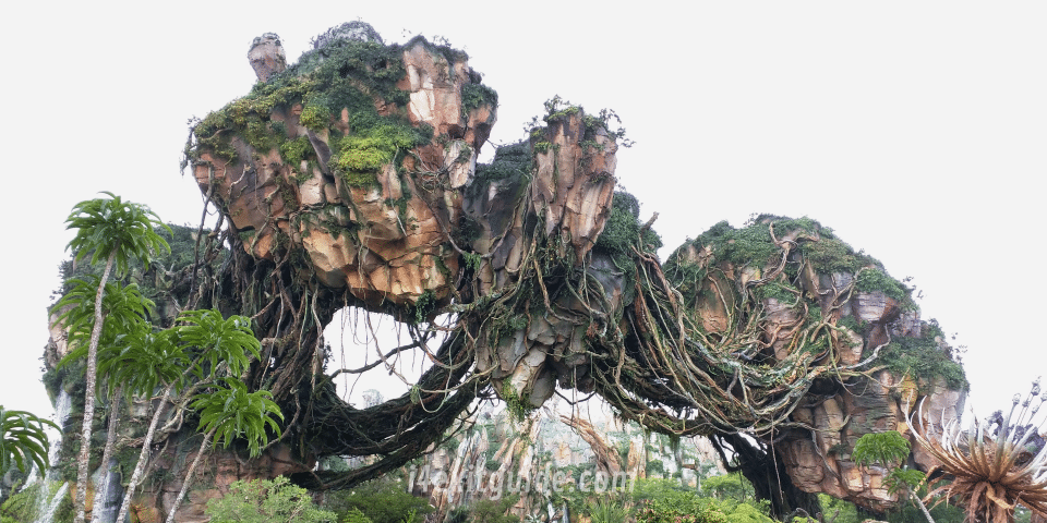 Pandora - The World of Avatar at Disney's Animal Kingdom
